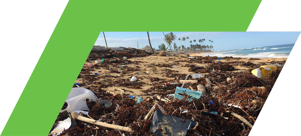 A beach covered in plastic debris and seaweed, with palm trees in the background and waves in the distance.